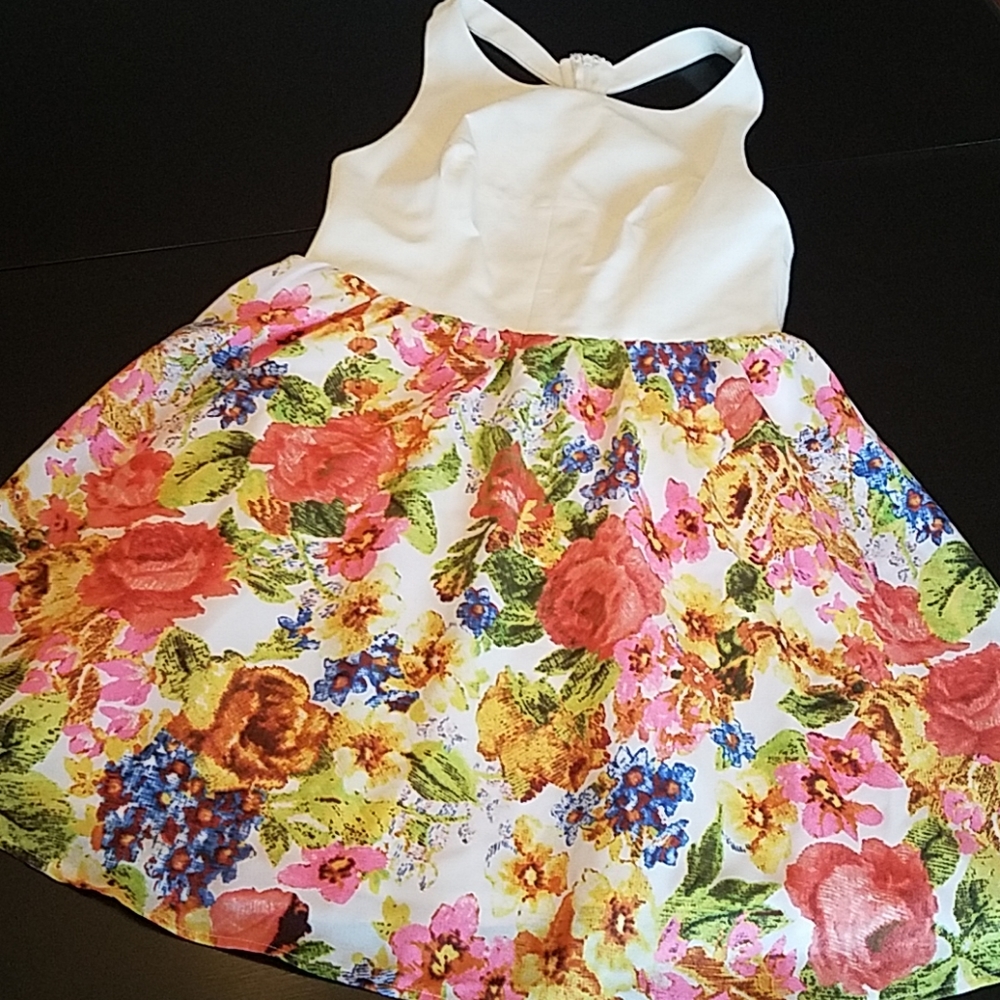 - Floral Swing Dress sz Large NEW by Ark & Co.